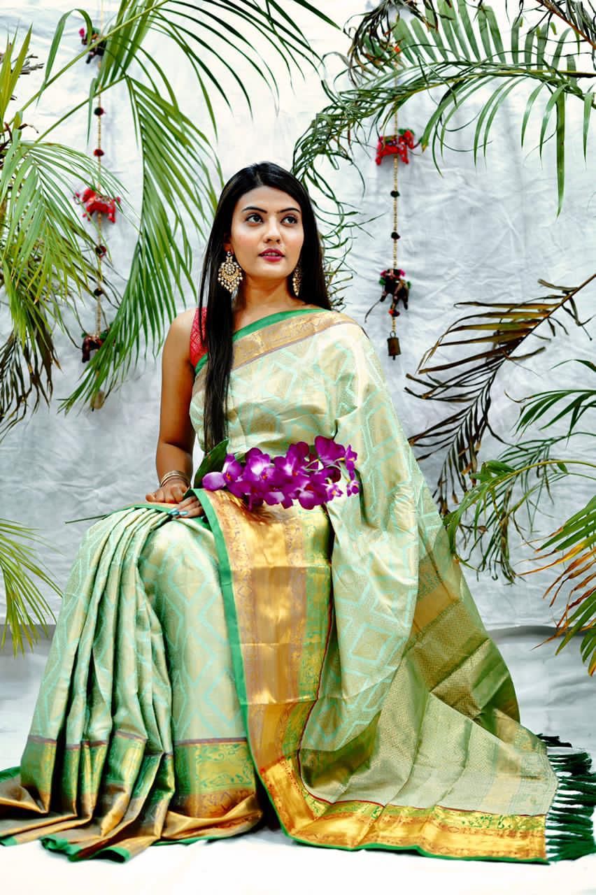 Handloom Kanchivaram Katan Silk Sarees-SH1008