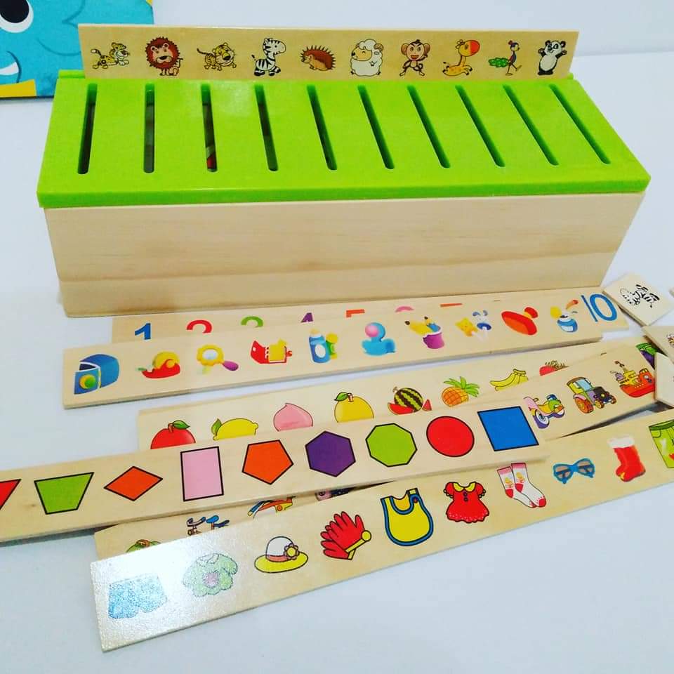 Knowledge Classification Box for Kids - SHTM1063