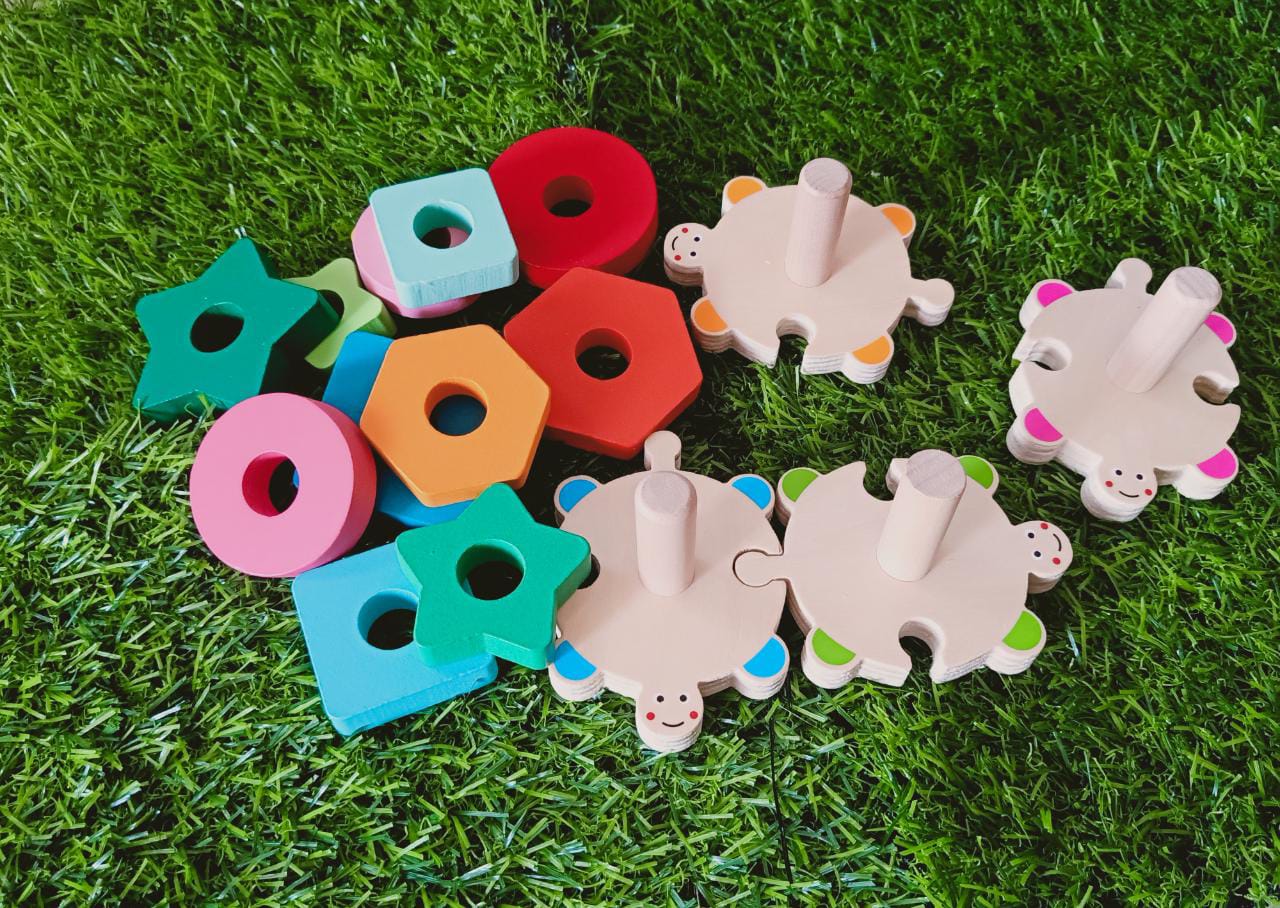 Wooden Colorful Wisdom Shape Educational Toys - SHTM1028