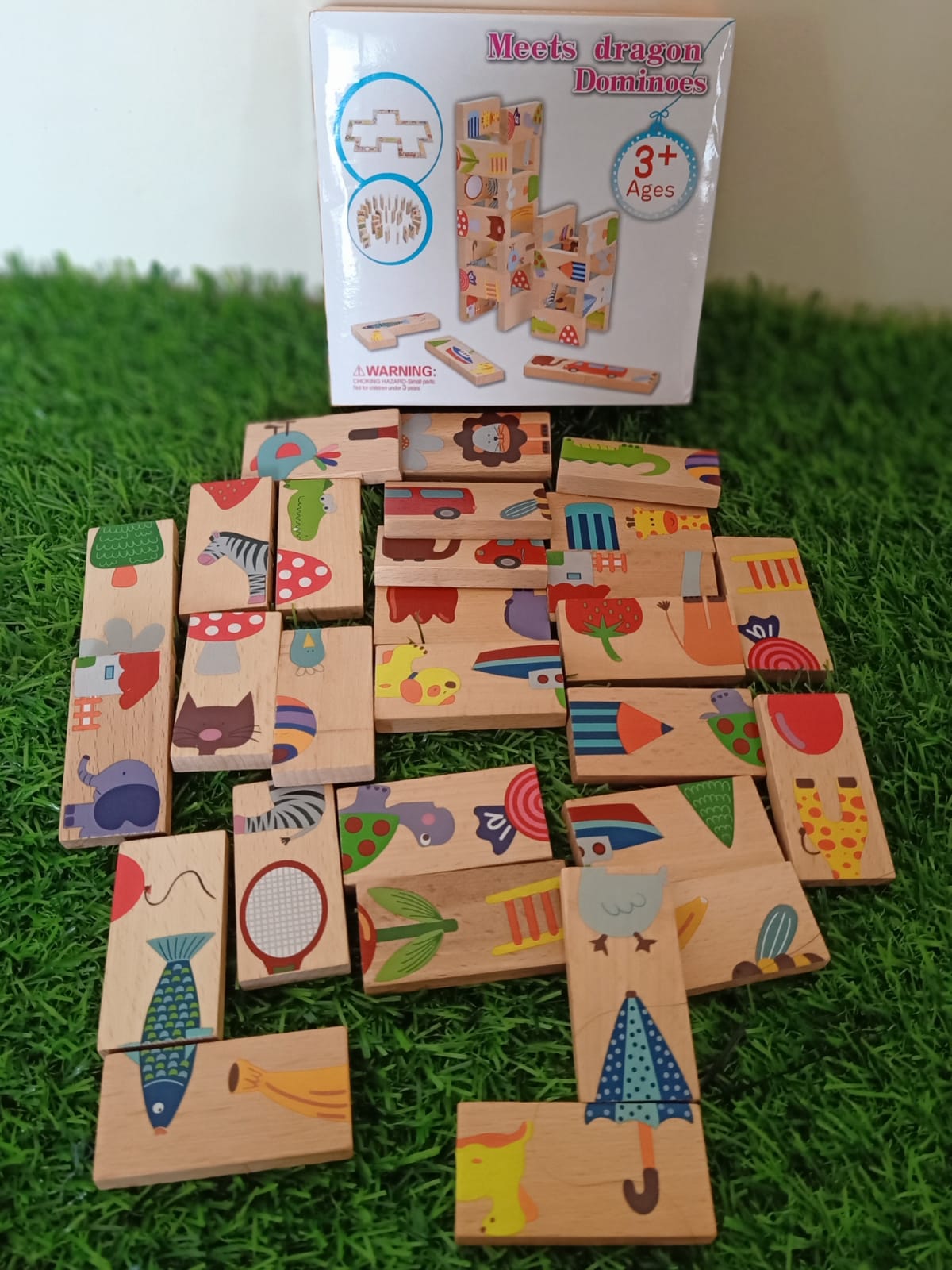 Dragon Dominos for Kids-SHTM1143