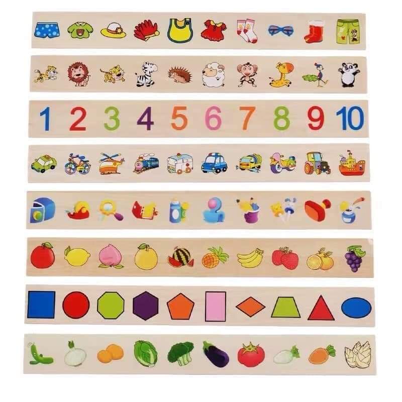 Knowledge Classification Box for Kids - SHTM1063