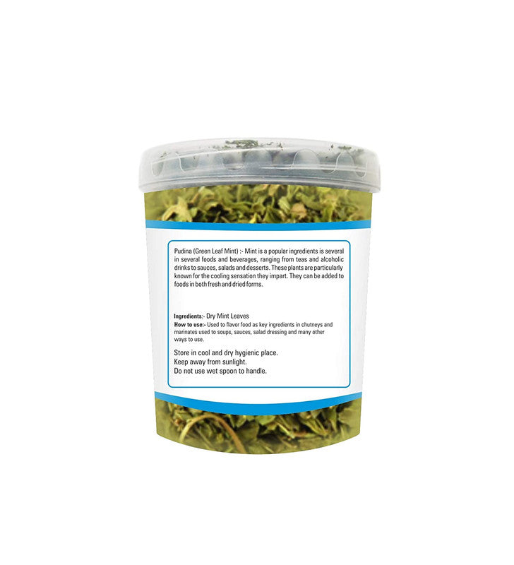 Zindagi Dry Pudina Leaves – Natural Mint Leaf – Pure & Refreshing – Dehydrated Ready To Use For Home & Kitchen (100 Gram) - SHTZ1035