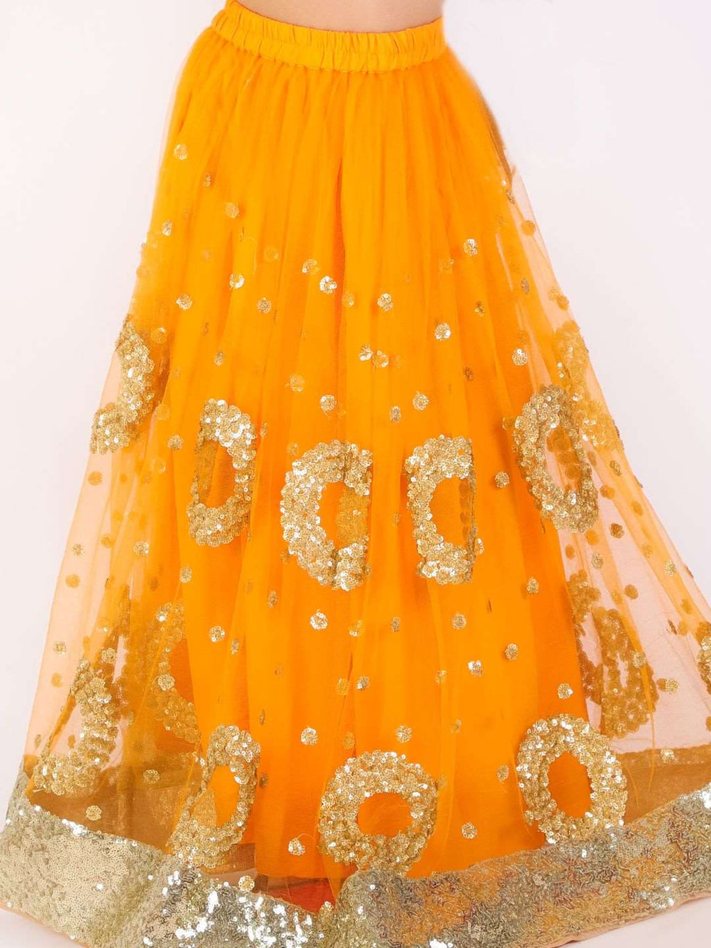 Beautiful Lehenga Choli for Girls-SHG1050