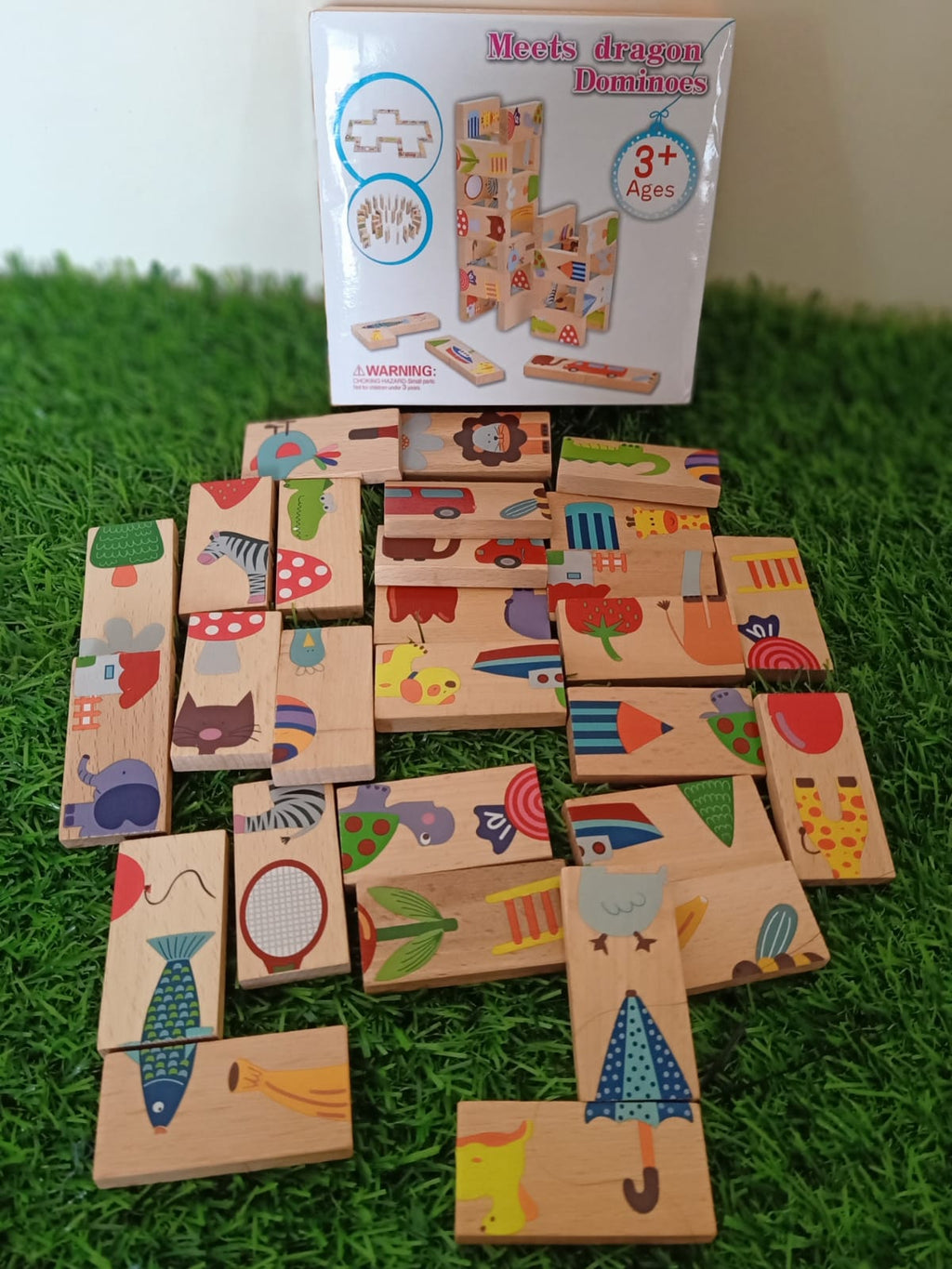 Dragon Dominos for Kids-SHTM1143