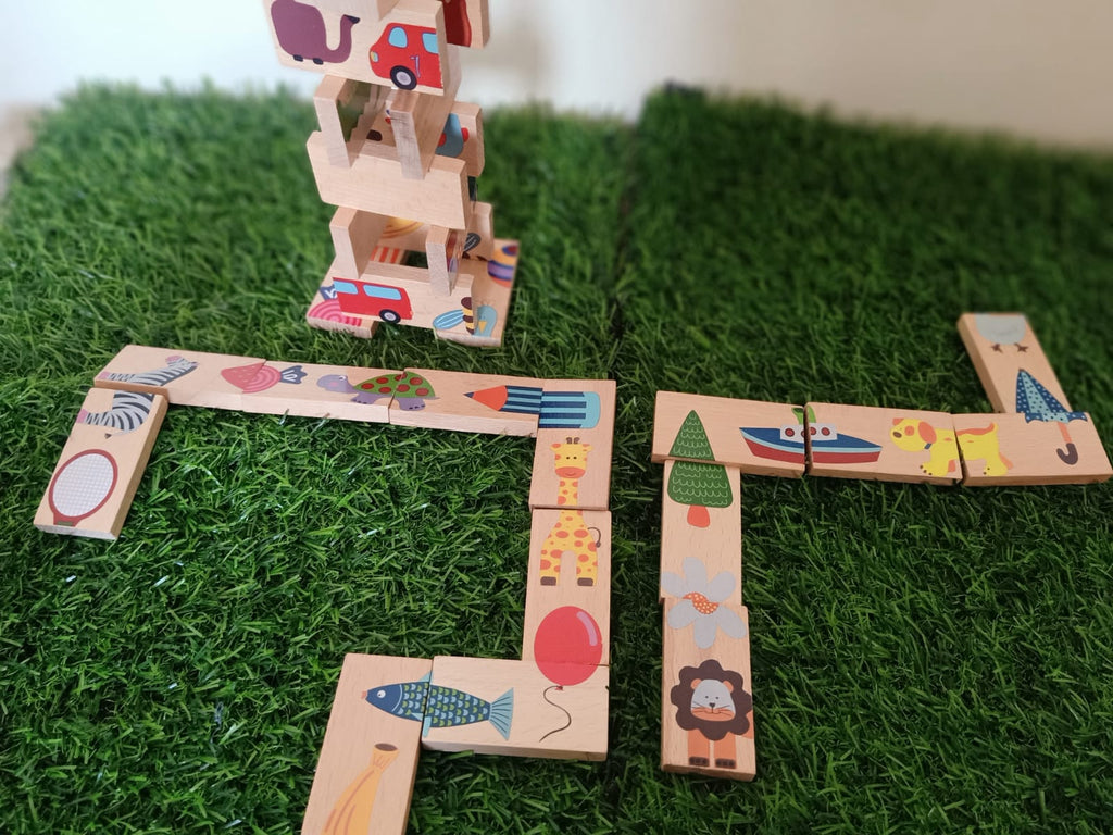 Dragon Dominos for Kids-SHTM1143