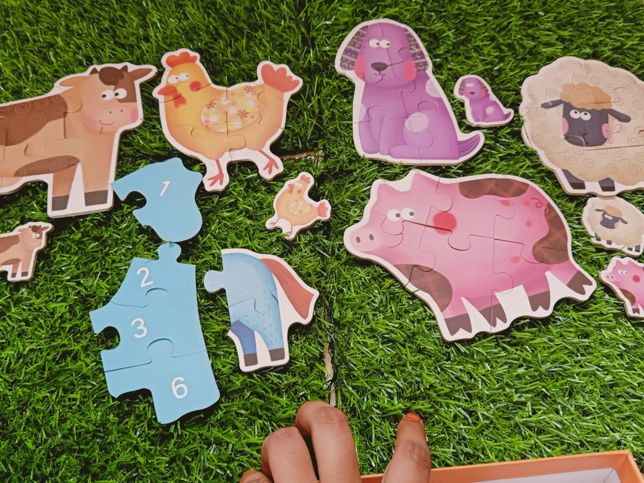 Wooden Puzzle Games 6-In-A-Box for Kids-SHTM1076