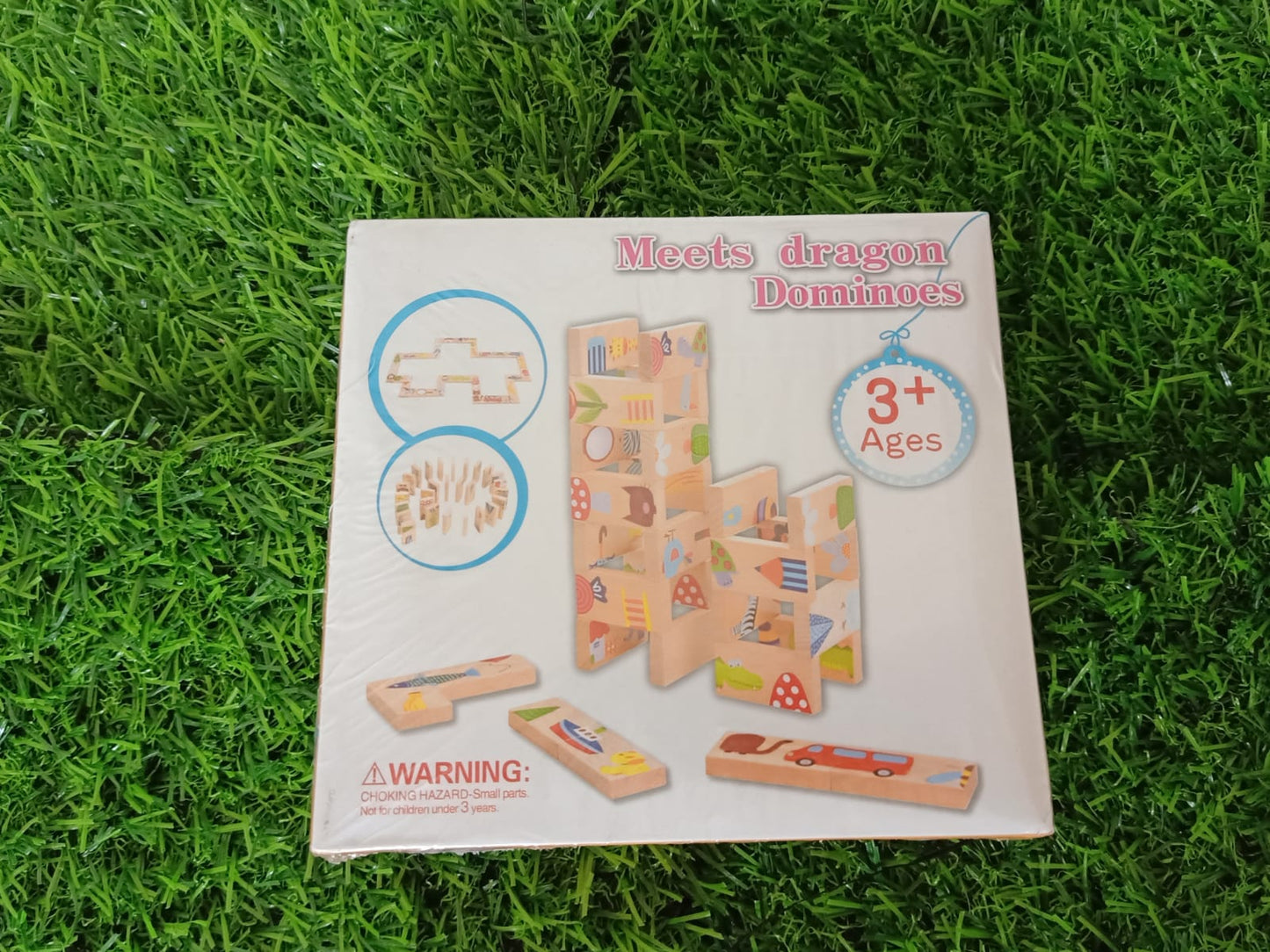 Dragon Dominos for Kids-SHTM1143