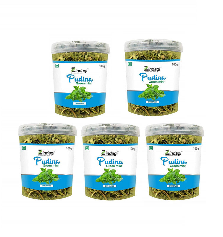 Zindagi Dry Pudina Leaves – Natural Mint Leaf – Pure & Refreshing – Dehydrated Ready To Use For Home & Kitchen (100 Gram) - SHTZ1035