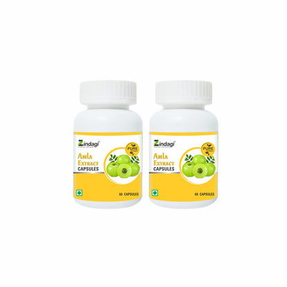 Zindagi Amla Extract Capsule - Immunity Booster - Natural Amla Fruit Extract Powder (60 Capsules) - SHTZ1019
